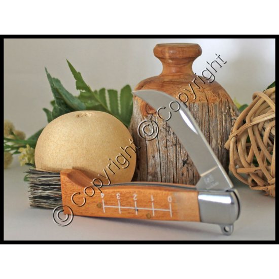 (image for) Mushroom Hunter's Knife